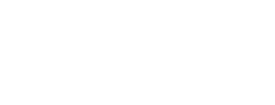 LOGO_MG1F@3x